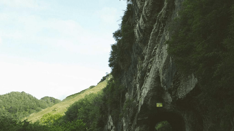 Ai Chip - professional stock photography