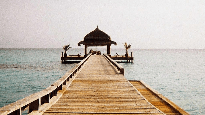 Circuit Board - professional stock photography