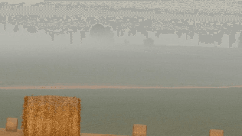 Circuit Board - professional stock photography