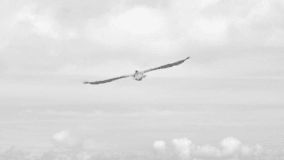 Database - professional stock photography