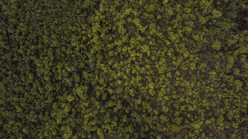 Monitor - professional stock photography