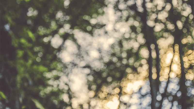 Server Room - professional stock photography