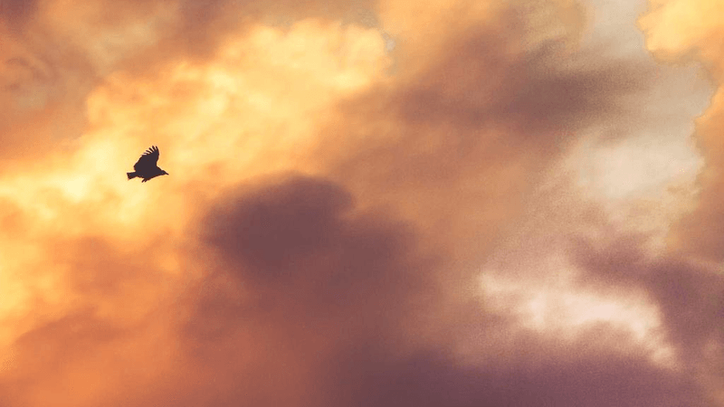 Vr Headset - professional stock photography