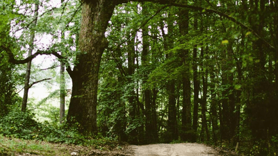 Vr Headset - professional stock photography