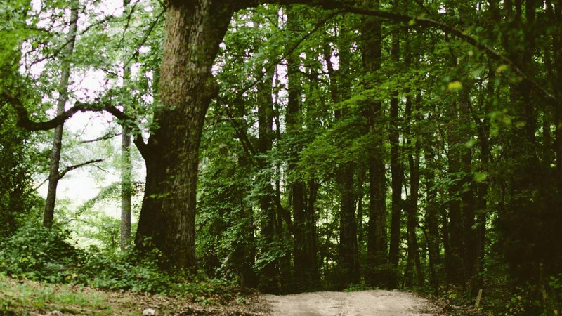 Vr Headset - professional stock photography